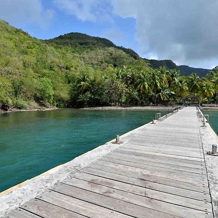 Апартаменты Les Hibiscus L'Anse Noire Экстерьер фото